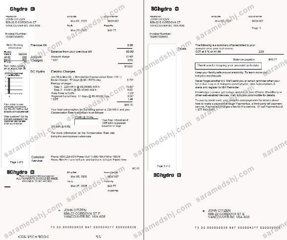 Canada Chydro utility bill template in Word and PDF formtas, 2 pages